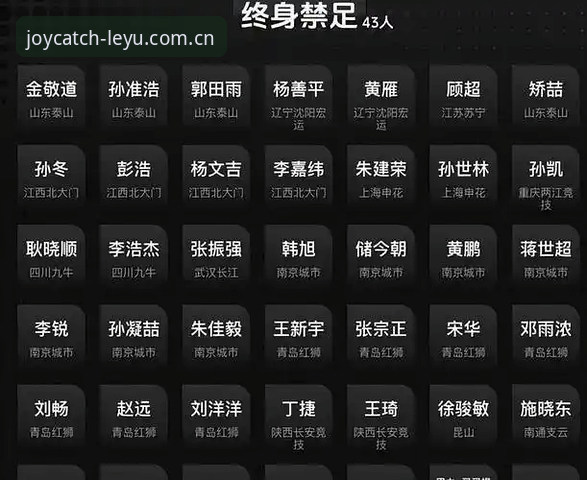 足协第三批禁足名单深度解读：行业净化与体育精神的重塑